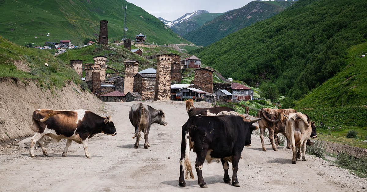 Simon Melišek Gruzínsko